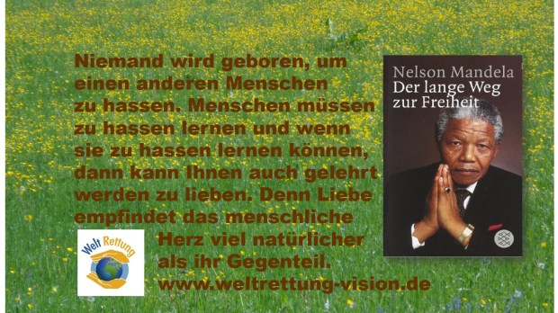 Bild-Text Mandela Zitat