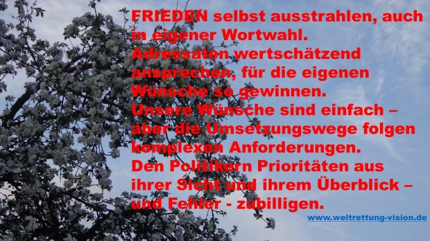 Friedensveranstaltung 1