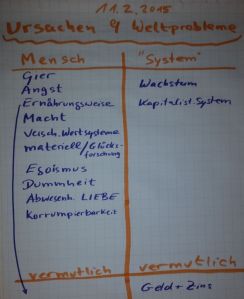 20150219_225051-Ursachen-1000