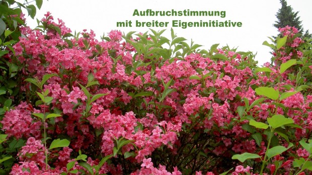 Griechenland T3-Blüten