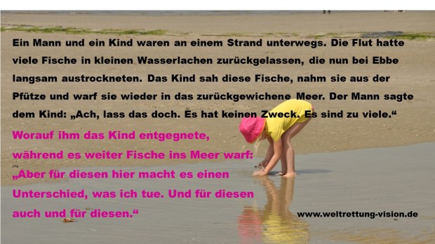 Viele Fische - Unterschied