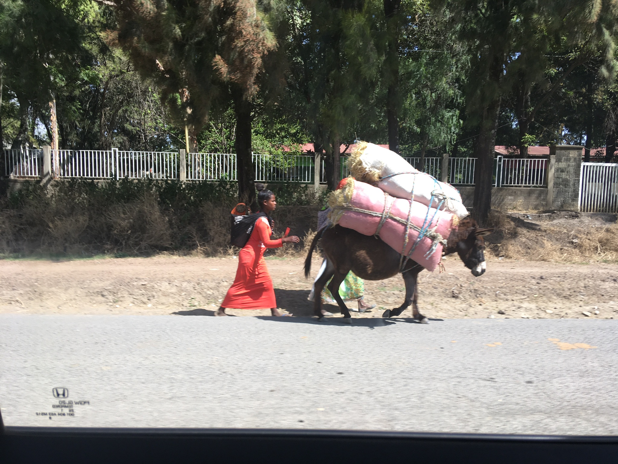 BFE47E50-3195-4B59-BDB9-116A0D7CA266